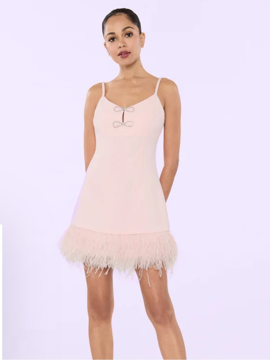 Likely Dresses & Skirts - ✨Like New✨ Likely Mariany Pink Feather Mini Dress Sz 4